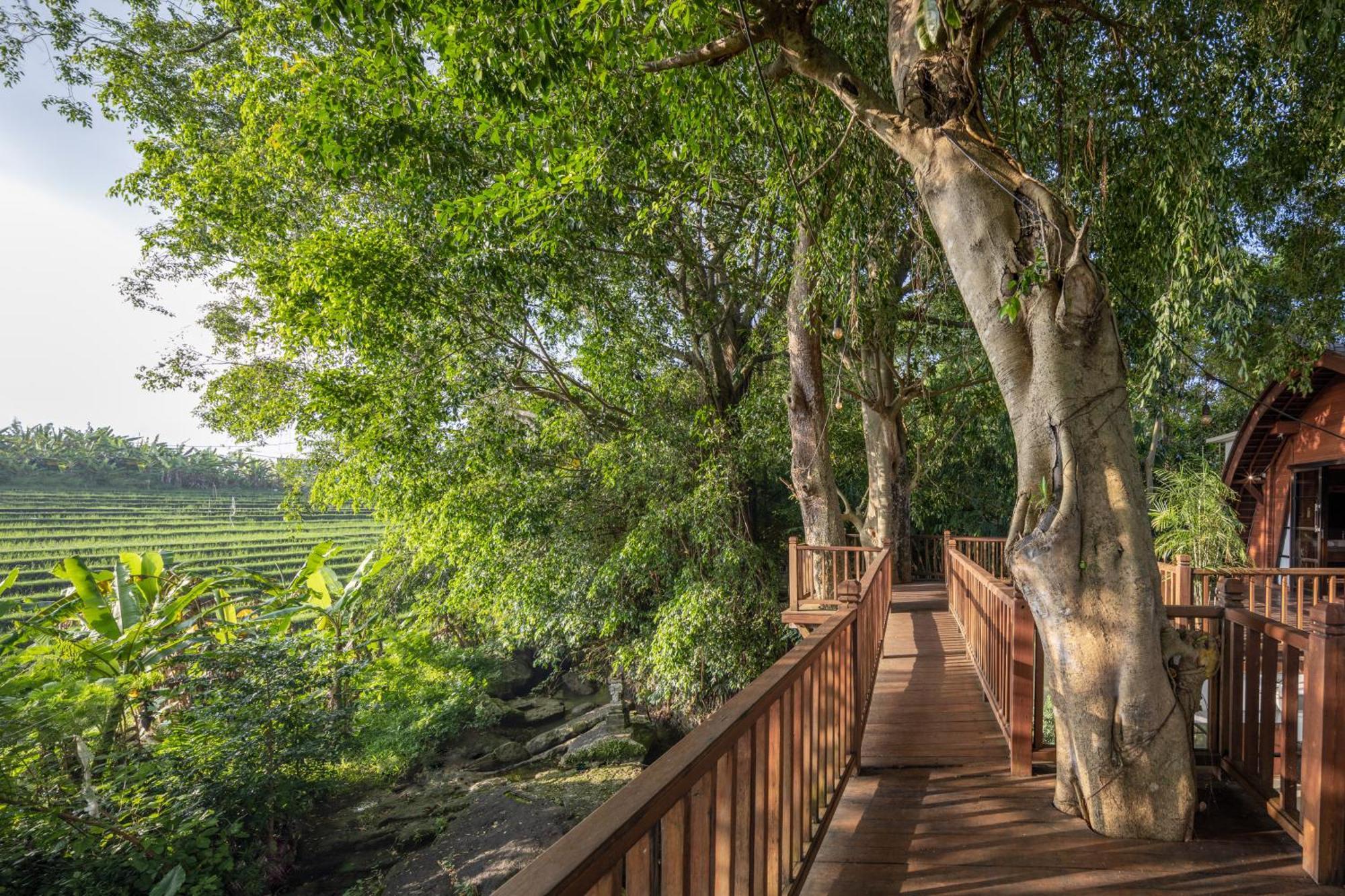 Paripadi Private Villa&Sanctuary Canggu  Bagian luar foto